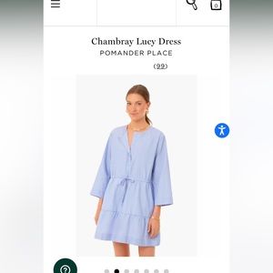 Tuckernuck Chambray Lucy Dress - Size L. Never Worn